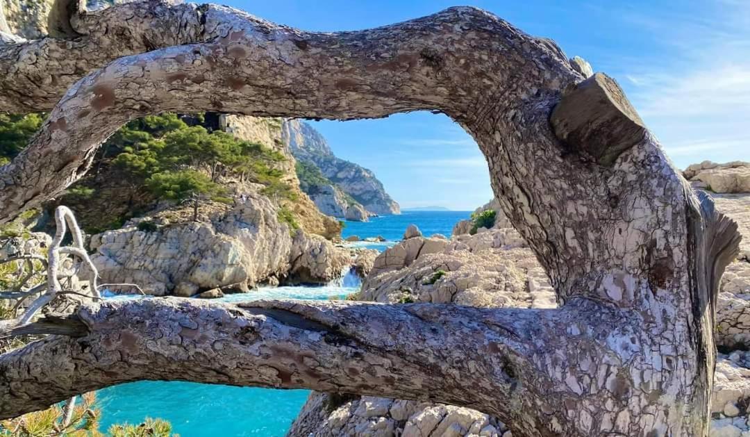 Mon Petit Paradis, Cassis Centre Apt 90 M2, 200 M Mer, Terr Plein Sud, Clim Park Prive Exterior foto